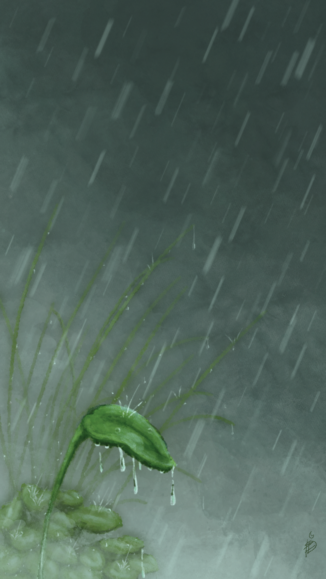 The Feeling of Rain